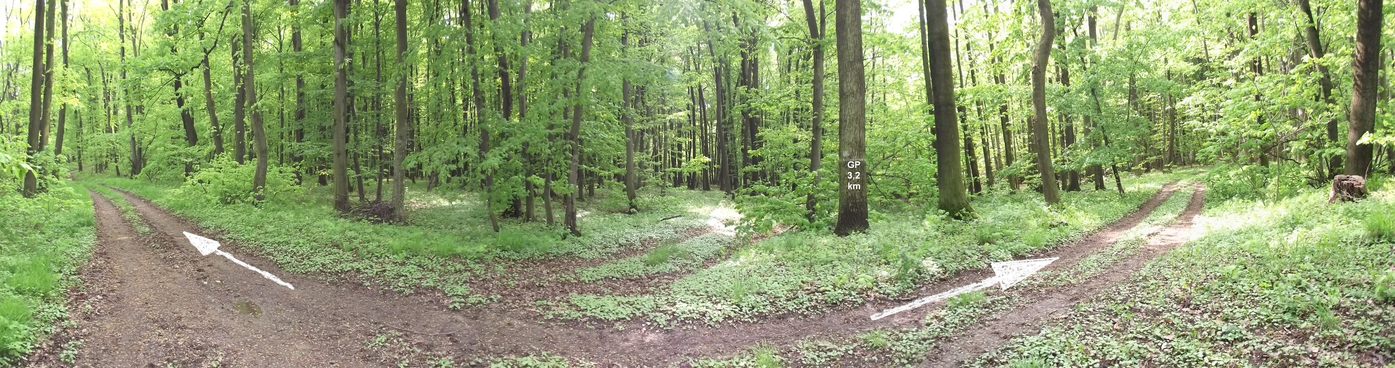 3,2.km
